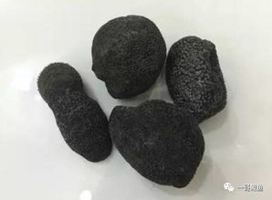 海参生长及晒制过程,附海参种类大全