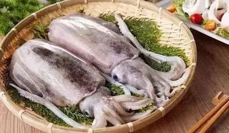 春节期间少不了的鱼 你更适合吃哪一种